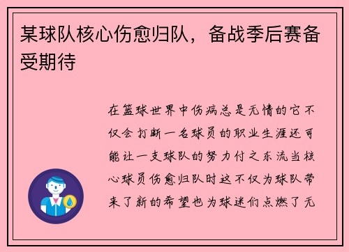 某球队核心伤愈归队，备战季后赛备受期待