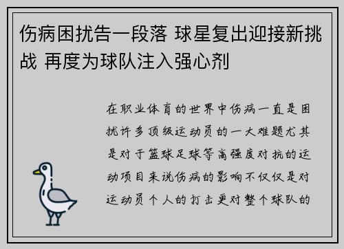 伤病困扰告一段落 球星复出迎接新挑战 再度为球队注入强心剂