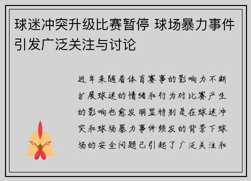 球迷冲突升级比赛暂停 球场暴力事件引发广泛关注与讨论