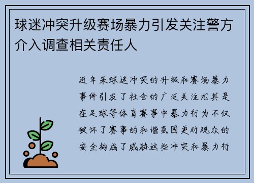 球迷冲突升级赛场暴力引发关注警方介入调查相关责任人